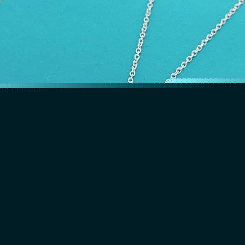 Tiffany Necklace 07yxs24